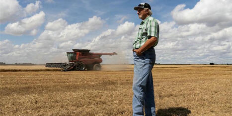 'They quit after a few hours': Farmers admit they can't find American workers - Raw Story | Backstabber Watch | Scoop.it