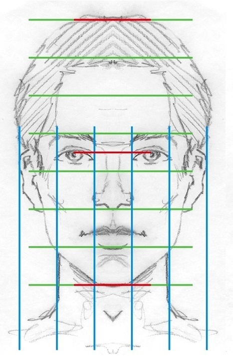Facial Proportions Reference Guide | Drawing References and Resources | Scoop.it