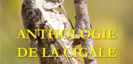 Anthologie de la Cigale : l'heure de la conclusion | Insect Archive | Scoop.it