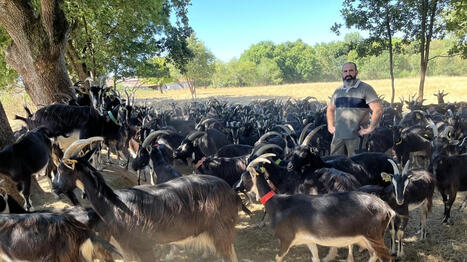 Et si vous preniez votre petit d&eacute;jeuner &agrave; la ferme avant de profiter d&rsquo;un march&eacute; paysan, pr&egrave;s des Sables-d&rsquo;Olonne&nbsp;? - Ouest France [Abonn&eacute;s] | Agriculture et communication positive | Scoop.it