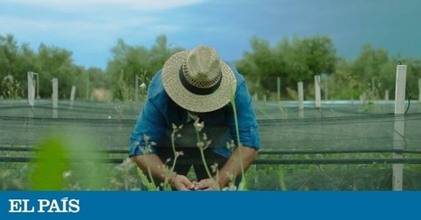 #Agenda2030 Una aplicación conecta agricultores locales de toda #Europa para fomentar un cultivo sostenible #ODS #Agricultura | Agenda 2030 | Scoop.it