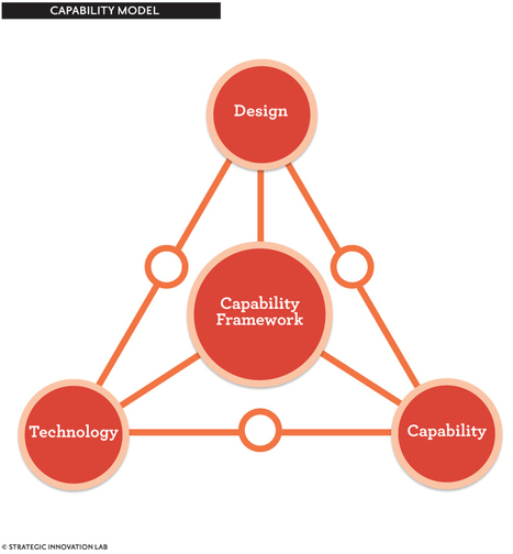 Capability Framework & Diagnostics | Learning Futures on I.C.E. - Innovation, Creativity and Entrepreneurship | Scoop.it