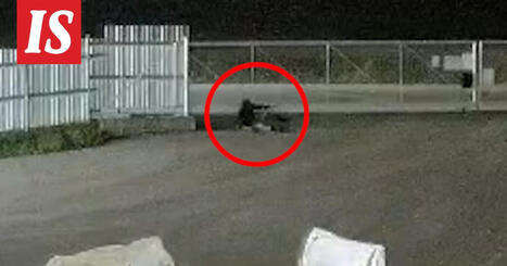 Video: Hiippari varastaa tupakantumppeja Romu Kein&auml;sen pihalta | A1Uutiset | Scoop.it