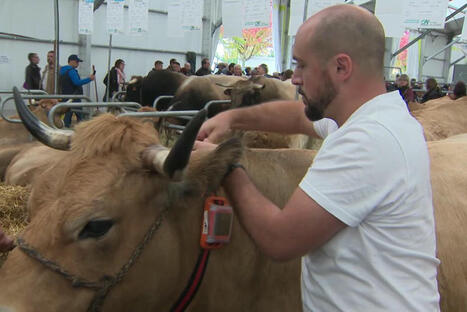 Sommet de l'élevage : ces innovations surprenantes qui pourraient révolutionner l'agriculture - France 3 régions | Pour innover en agriculture | Scoop.it