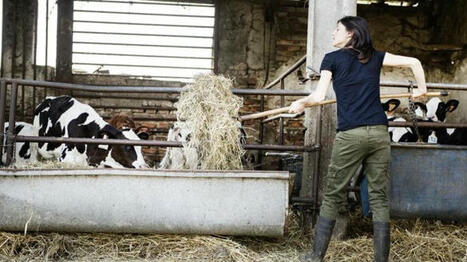 En Italie, des initiatives pour le renouvellement des générations en élevage laitier | Elevage et société | Scoop.it