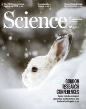 The nonlesional skin surface distinguishes atopic dermatitis with food allergy as a unique endotype | Allergy (and clinical immunology) | Scoop.it