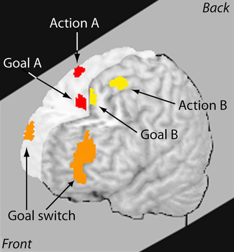 What multitasking does to our brains | Digital Delights - Digital Tribes | Scoop.it