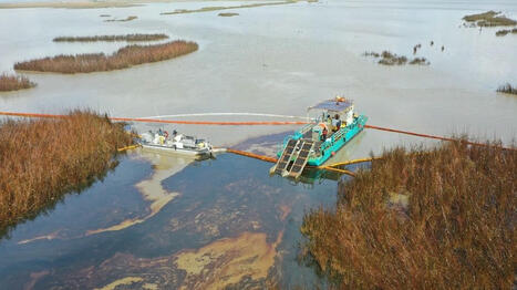 US Coast Guard responds to oil spill near Garden Island Bay / le 30.04.2025 | Pollution accidentelle des eaux (+ déchets plastiques) | Scoop.it