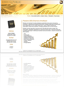 Web Portfolios: The Cutting Edge in Executive Job Search | Effective Executive Job Search | Scoop.it