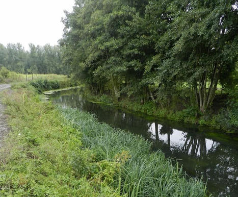 Scarpe : Vers une gestion écologique des cours d'eau | Vers la transition des territoires ! | Scoop.it