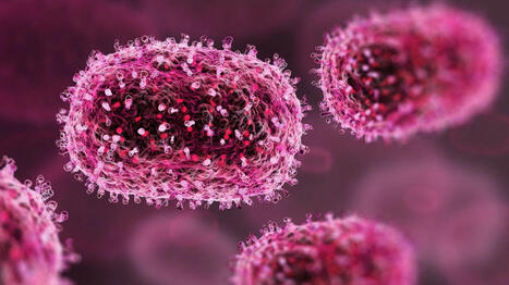 Epidémie de MPox : 14 cas ont été recensés en France entre le 28 août et le 3 septembre | sida | Scoop.it