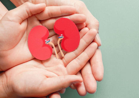 Cut the phosphorous, keep the protein &ndash; the dilemma of renal diets | Peritoneal dialysis | Scoop.it
