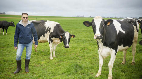 Améliorer la longévité des vaches laitières | SCIENCES DE L' ANIMAL | Scoop.it