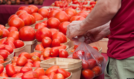 11 Ways To Boost Your Energy With Food | AIHCP Magazine, Articles & Discussions | Scoop.it