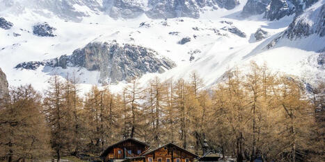 Warum sich Österreich in Richtung Ganzjahresdestination bewegt - Reisen - derStandard.at › Lifestyle | (Macro)Tendances Tourisme & Travel | Scoop.it
