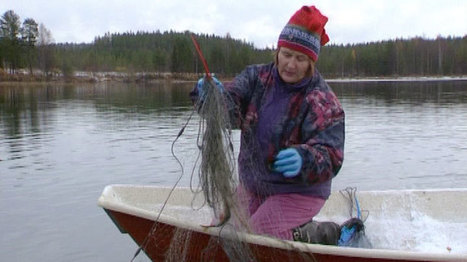Naisen elämää Kuhmon perukoilla | 1Uutiset - Lukemisen tähden | Scoop.it
