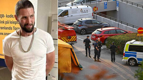 D&ouml;ms till livstid f&ouml;r dubbelmord i G&ouml;teborg | Lehti | Scoop.it