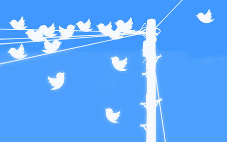 Tweeter ou Liker : les bibliothèques et l'usage des réseaux sociaux | Library & Information Science | Scoop.it