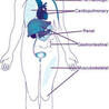 AUTOIMMUNITY