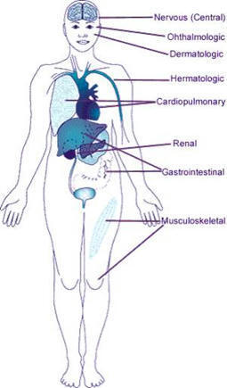 2025 ACR Guideline for the Treatment of SLE | RheumNow | AUTOIMMUNITY | Scoop.it