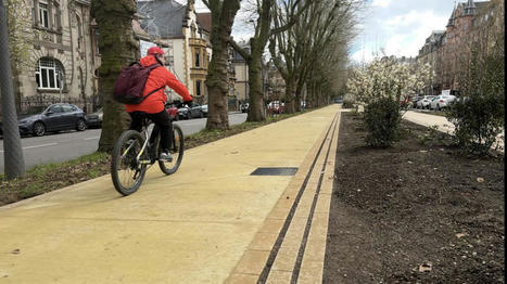 Avenue Foch : place aux vélos et aux piétons ! | Regards croisés sur la transition écologique | Scoop.it