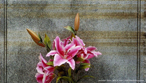 Our submerged city has risen. Let's reach higher. | Coastal Restoration | Scoop.it