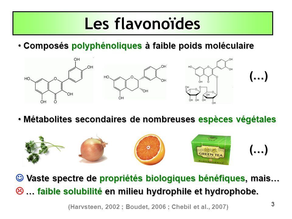 Les flavonoïdes