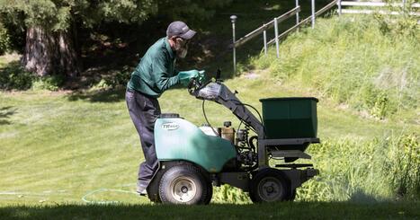 State survey shows Japanese beetle numbers nearly tripled in 2025 | Local | yakimaherald.com | Industry 411 - Waste Management | Scoop.it
