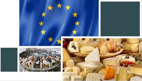 Produits laitiers : pourquoi l’Union européenne n’est plus compétitive sur la scène internationale ? | Lait de Normandie... et d'ailleurs | Scoop.it