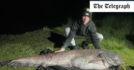 Amateur angler lands biggest ever fish caught on a rod in UK | Soggy Science | Scoop.it