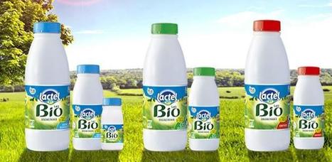 Filière : Lactel veut davantage de lait bio | Lait de Normandie... et d'ailleurs | Scoop.it