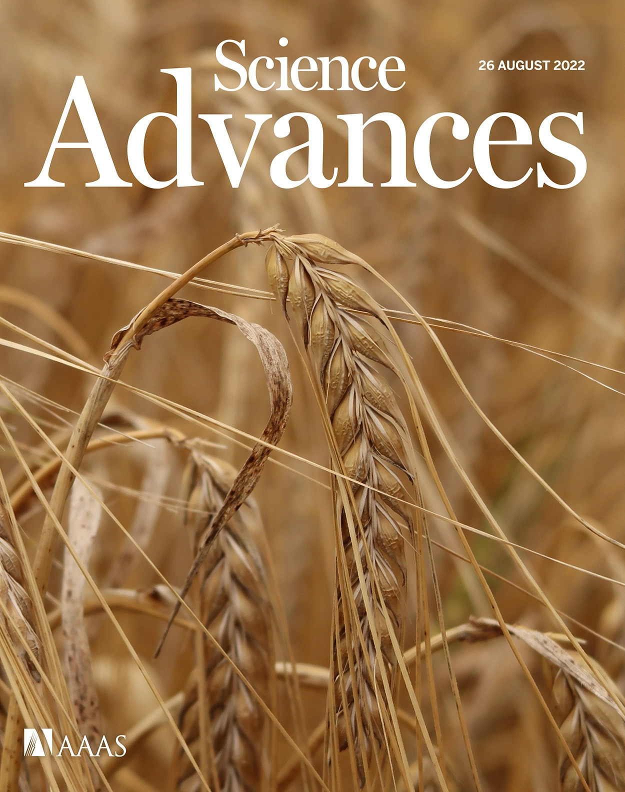 Psychological inoculation improves resilience a...
