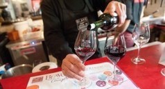 Le vin, bon pour la santé, jusqu’à un certain degré | Toxique, soyons vigilant ! | Scoop.it