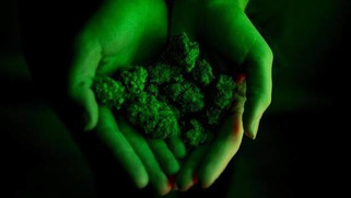 Report on Canada's marijuana legalization due this week | ReactNow - Latest News updated around the clock | Scoop.it