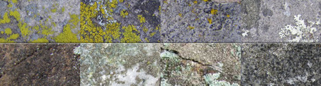 40 Amazing and Free Texture Sets | photoshop ressources | Scoop.it