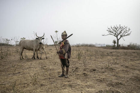 L'ECHO DEMETER : Au Nigeria, un conflit lié à une mauvaise gestion de l’eau et à l’insécurité | L'ECHO DEMETER | Scoop.it