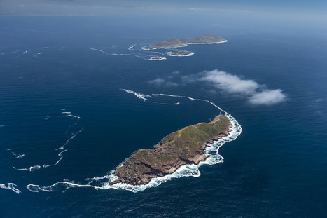 Mexico protects islands off Baja California's Pacific Coast | Coastal Restoration | Scoop.it