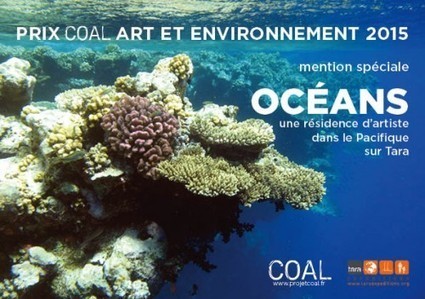 COAL - Coalitation pour l'art et le d&eacute;veloppement durable | Biodiversit&eacute; | Scoop.it