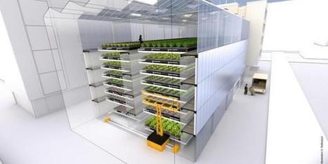 L’usine à salades | Urbanisme vivant | Scoop.it