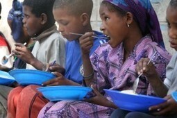 Linking smallholder farmers in Sub-Sahara Africa with school nutrition programmes | WFP | Food & Nutrition Security in East Africa | Scoop.it