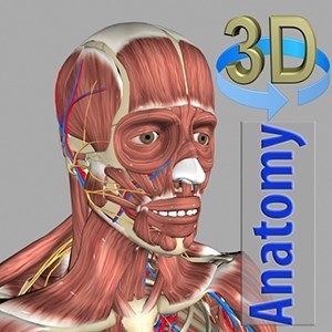 3D Human Anatomy - Official app in the Microsoft Store | Design, Science and Technology | Scoop.it