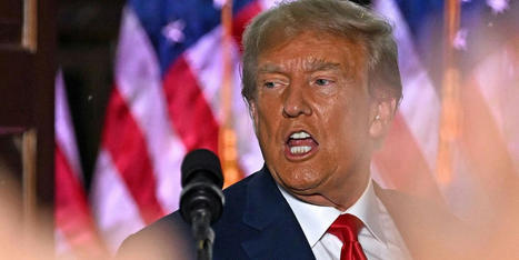 'Stunningly stupid': Legal expert flattens Trump lawyers over comparison to racist case - Raw Story | Backstabber Watch | Scoop.it