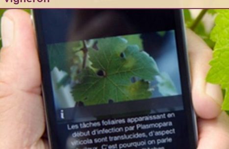 Ces applications smartphone qui aident les viticulteurs&hellip; &ndash; AgroTIC | Pour innover en agriculture | Scoop.it