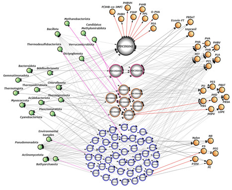 Plastic-Degrading Clusters of Orthologous Groups in Prokaryotes | Brvm | RMH | Scoop.it
