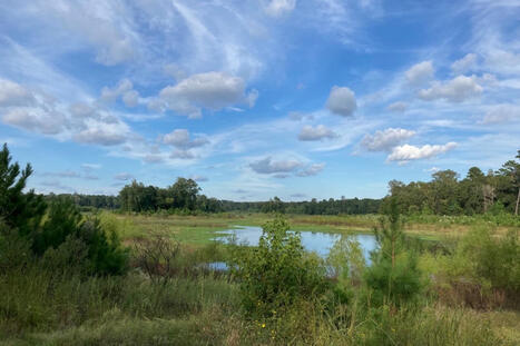 Spring Creek Dam study highlights flood relief potential, funding still needed | exTRA by the Trinity River Authority of Texas | Scoop.it