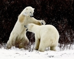 How to Manage a Micromanager - Forbes | Professional Development for Public & Private Sector | Scoop.it