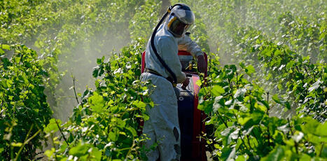R&eacute;duire les pesticides : quelles cons&eacute;quences &eacute;conomiques pour les fili&egrave;res agro-alimentaires ? | Plan&egrave;te DDurable | Scoop.it