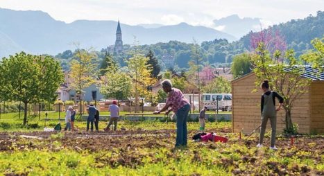Ecomedia : "Approvisionnement, santé | Jardins partagés, en ville la tendance séduit | Ce monde à inventer ! | Scoop.it