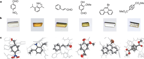 X-ray analysis on the nanogram to microgram scale using porous complexes | Natural Products Chemistry Breaking News | Scoop.it