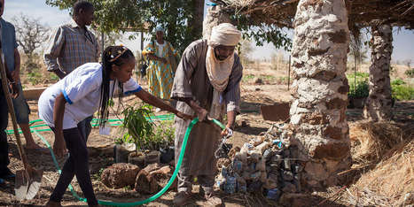 Entre la France et l&rsquo;Afrique, l&rsquo;agro&eacute;cologie ne conna&icirc;t pas de fronti&egrave;res - Le Monde | Agroecologie et Syst&egrave;mes Alimentaires Durables | Scoop.it